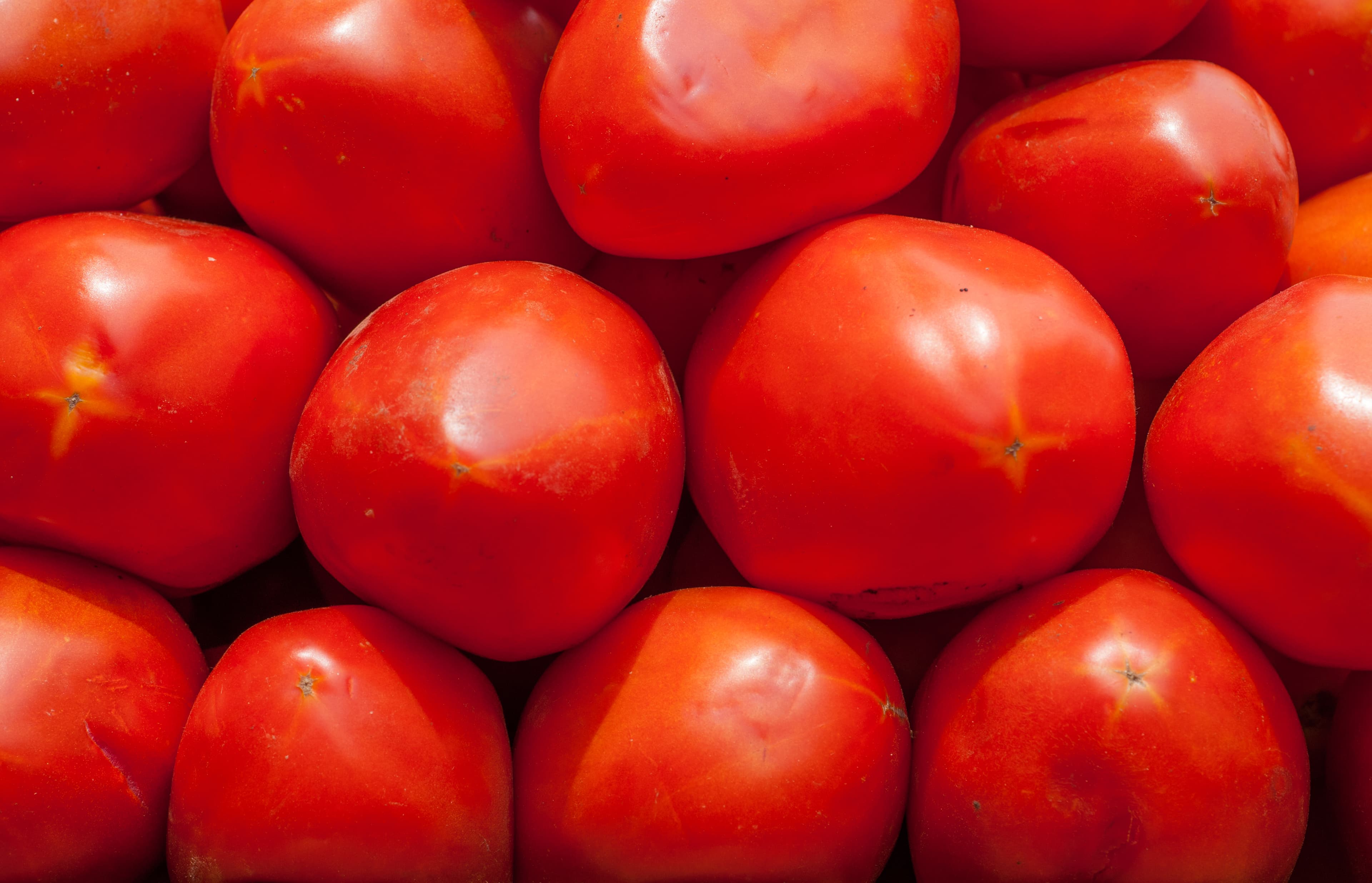 Vine Tomatoes